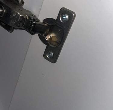 traitement blattes cafard la roche sur foron