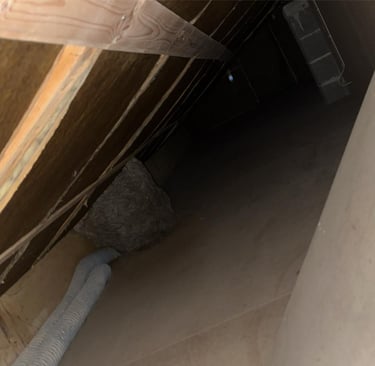 retrait nid de guêpes bonneville