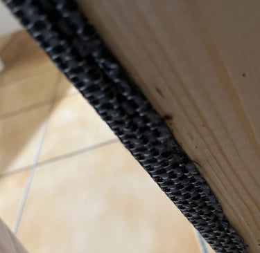 société punaises de lit annemasse