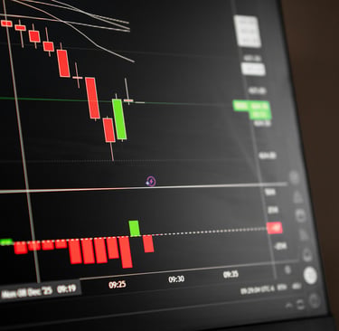 RFX Trading Group, PU Prime