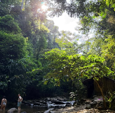 Bukit Lawang Trekking