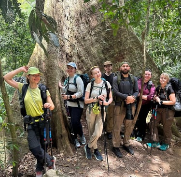 A group of hikers with trekking poles and backpacks pose by a massive ancient tree in a tropical jungle.