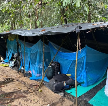 Bukit Lawang Trekking