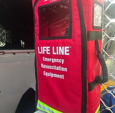 Portable Oxygen Bag, needs Oxy Bottle