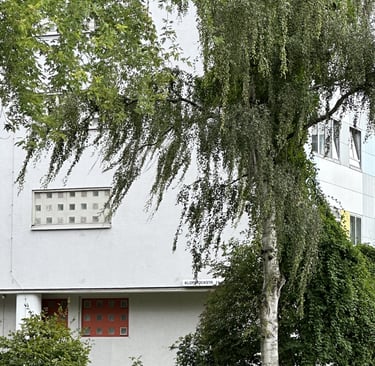 Hansaviertel rajonas