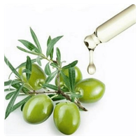 A glass dropper dripping pure olive oil onto a fresh branch of green olives on a white background.
