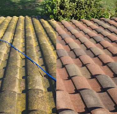 Roof cleaning removing mold and algae in San Marcos 