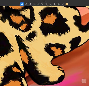 hawa cat detail Iad pro digital drawing