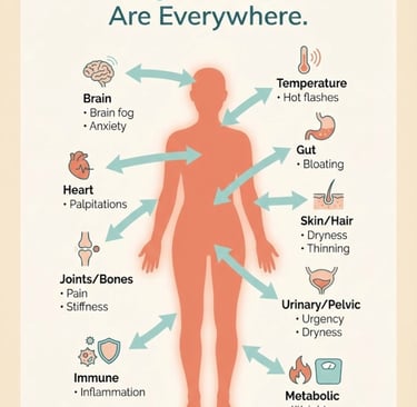 Body systems infographic showing nine areas affected by perimenopause — from brain and heart to gut, skin, and bones