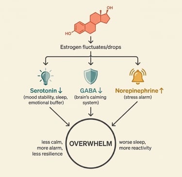 how estrogen decline during perimenopause disrupts serotonin, GABA, and norepinephrine