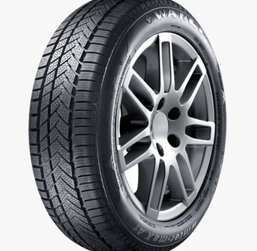 Aptany 205 55 16 RW211 - all season tire wholesale GTA-Tire Gallery
