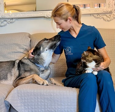 veterinaria a domicilio perros y gatos en Granollers