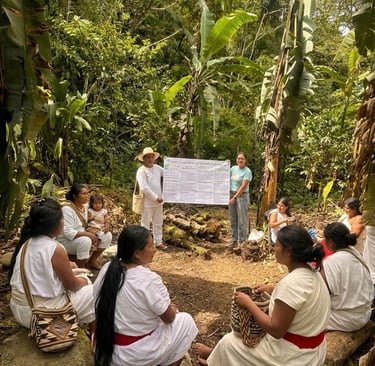 mujer indigena de la sierra nevada de santa marta