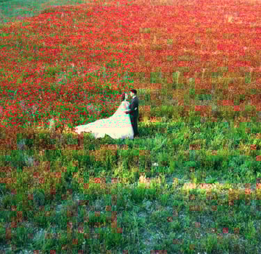 Vue par drone mariage domaine Provence