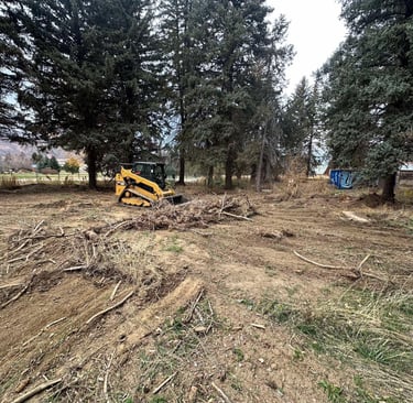 CAT skid steer clearing brush in Northern Utah