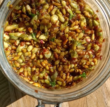 bourgeon en cours de macération dans un bocal pour créer de la gemmothrapie