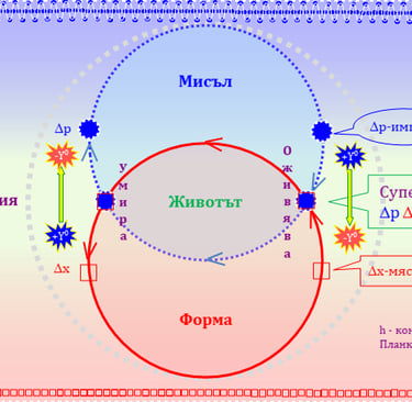 импулс-място-суперпозиция фотони пренасящи информация в проява на Живота