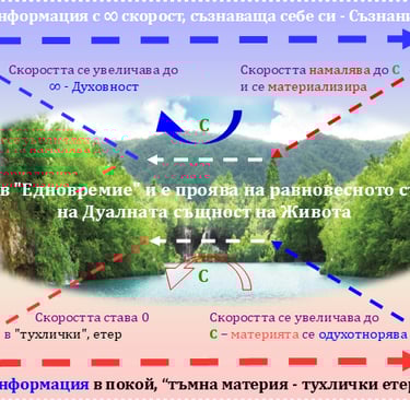 Едновремие на движение-покой, проява на равновесни сили в Живота