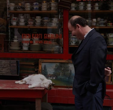 A man in a suit looks at a cat sleeping on a table outside a Turkish antique shop.