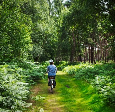 balade santé à vélo en forêt d'Ile de France