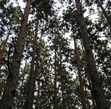 Guests mingling and chatting in a cozy indoor event space