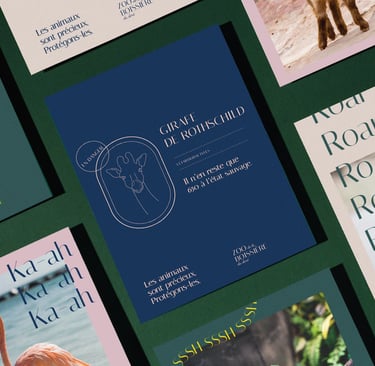 Identité de marque, ambiance et branding d'un zoo