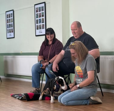 A couple with their English bull terrier & dog trainer at a puppy class in Stourbridge.