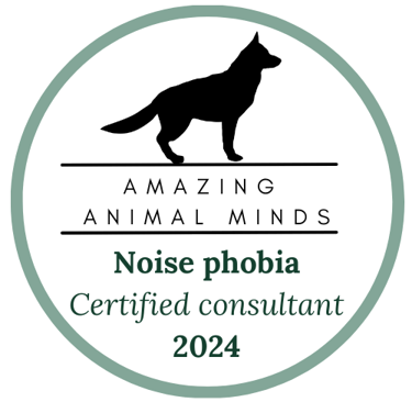 Noise phobia consultant 2024 badge