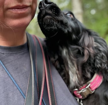 A black Cocker Spaniel dog nuzzles a woman's chin while wearing a pink collar and leash.