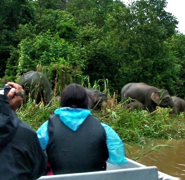 a man and woman in a boat with elephants