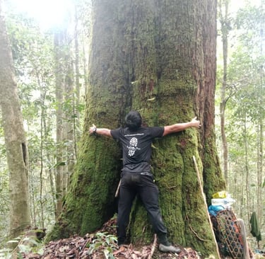 a man hugging to a giant tree during the expedition