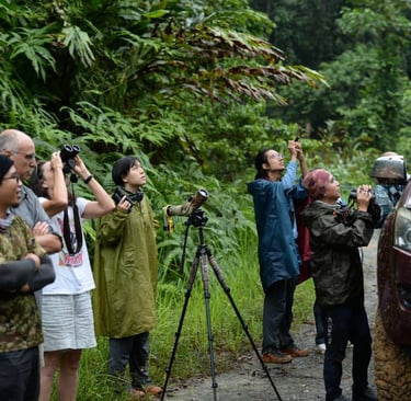 a group of people standing around a vehicle observing wildlife