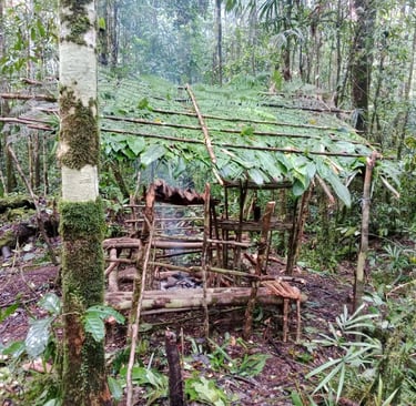 jungle survival hut material from the surrounding 