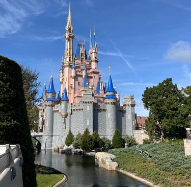 Castillo de Disney en Orlando durante visita con agentes de viajes