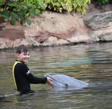 dolphin swim at discovery cove