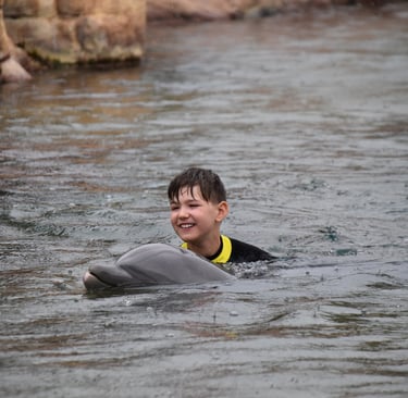 dolphin swim at discovery cove with kids