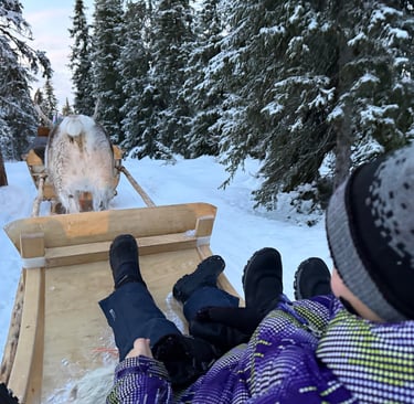 Reindeer riding with crystal ski in ruka finland