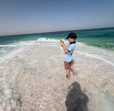 dead sea salt lakes 