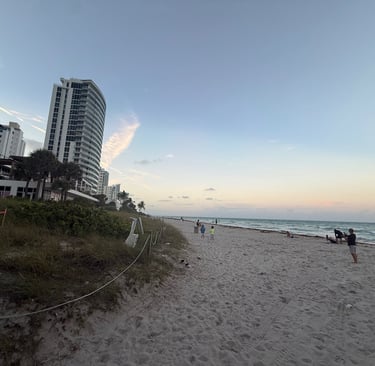 beach in miami