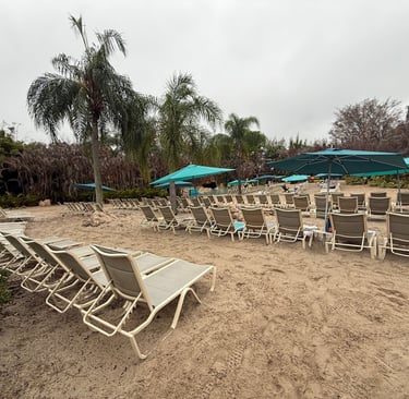 free seating discovery cove