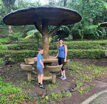 la fortuna costa rica
