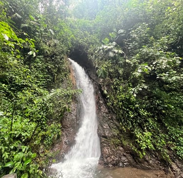 Mistico Hanging Bridges waterfall