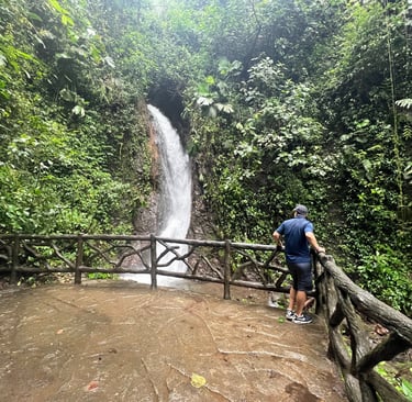 Mistico Hanging Bridges waterfall