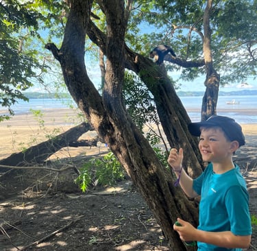 kid with monkey on a costa rica beacj
