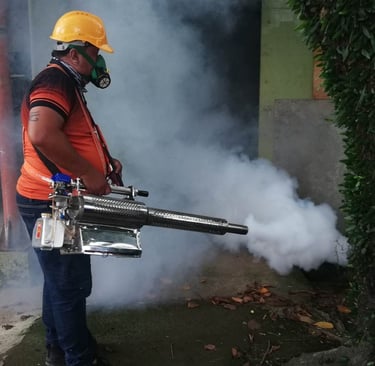  pest control worker using a thermal fogging machine to spray insecticide smoke for mosquito control.