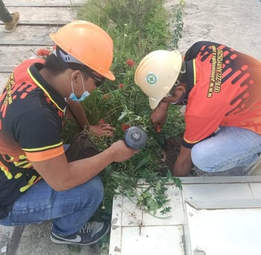 Jansen Pest Control Installing termite bait stations in Iloilo