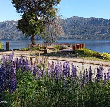 Primavera Villa Traful - Mirador