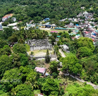 Fuerza San Andres Aerial View