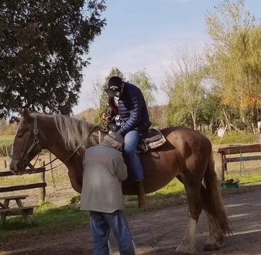 guide adjusting riders stirrups
