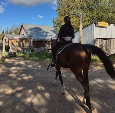 returning from trail ride laurentians